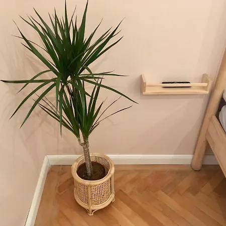 - Quiet - Ruin Pubs - New Design - Ac 부다페스트